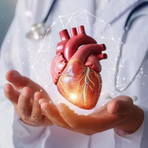 Cardiology