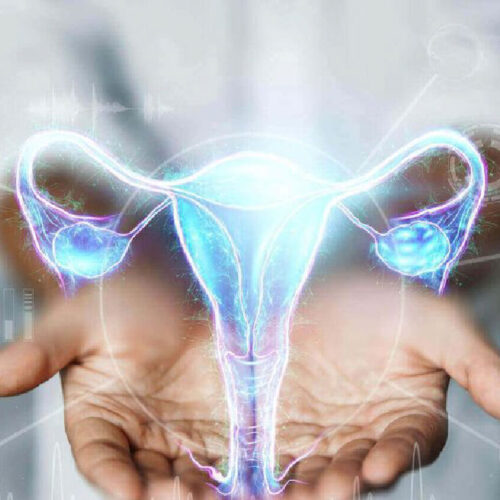Obstetrics & Gynecology / Reproductive Medicine (IVF)
