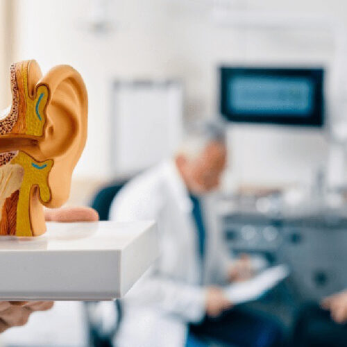 ENT (Ear, Nose & Throat)
