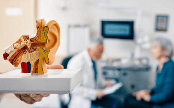 11 ENT (Ear, Nose & Throat)
