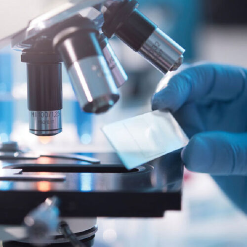 Clinical Laboratory Services