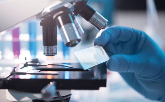 17_Clinical Laboratory Services Clinical Laboratory Services